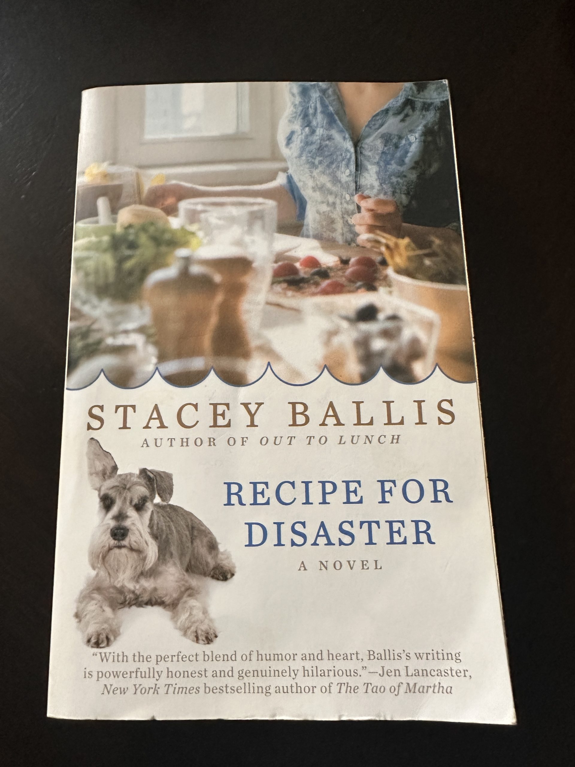 Recipe For Disaster by Stacey Ballis