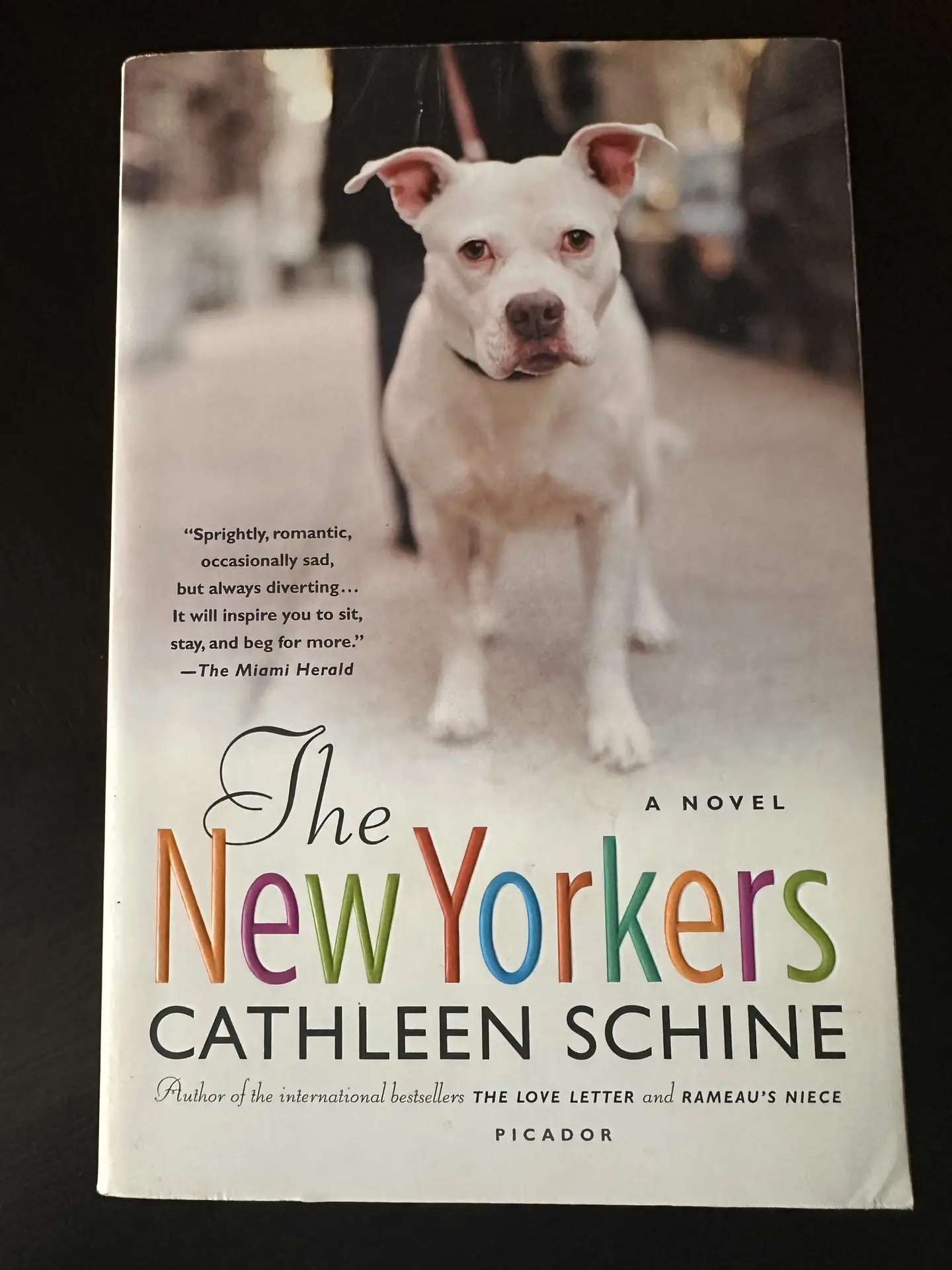 The New Yorkers by Cathleen Schine